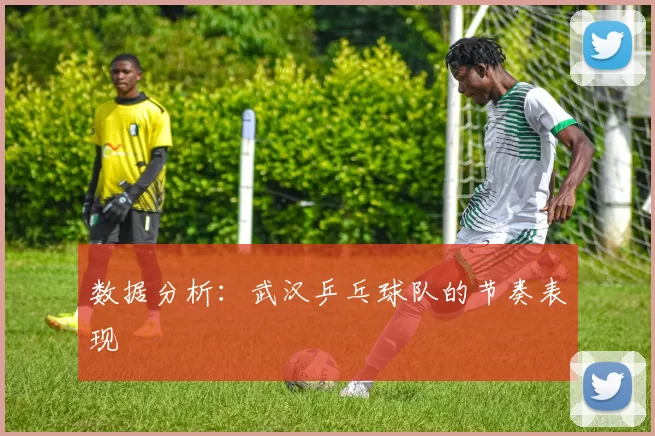 数据分析：武汉乒乓球队的节奏表现