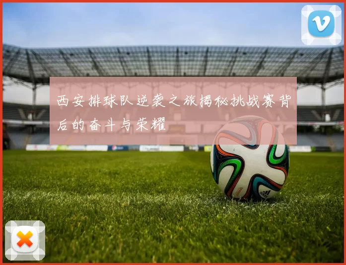 西安排球队逆袭之旅揭秘挑战赛背后的奋斗与荣耀