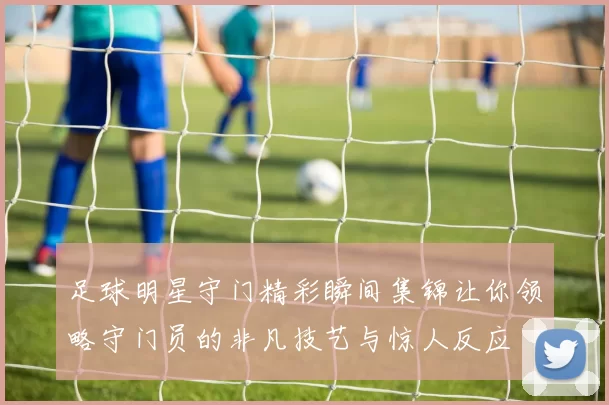 足球明星守门精彩瞬间集锦让你领略守门员的非凡技艺与惊人反应
