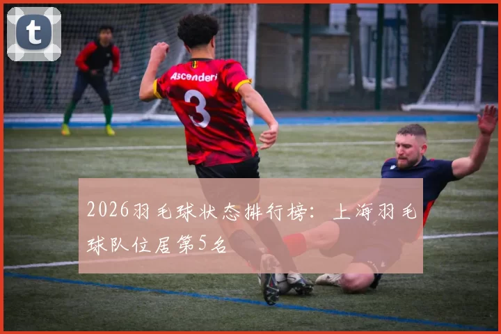 2026羽毛球状态排行榜：上海羽毛球队位居第5名