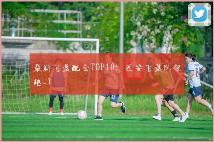 最新飞盘配合TOP10：西安飞盘队领跑_1