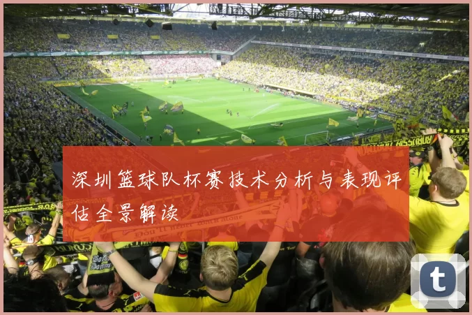 深圳篮球队杯赛技术分析与表现评估全景解读