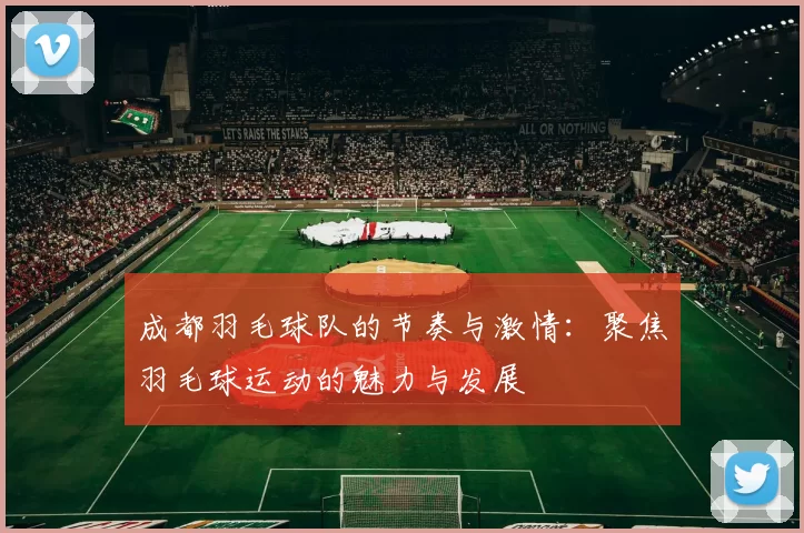 成都羽毛球队的节奏与激情：聚焦羽毛球运动的魅力与发展